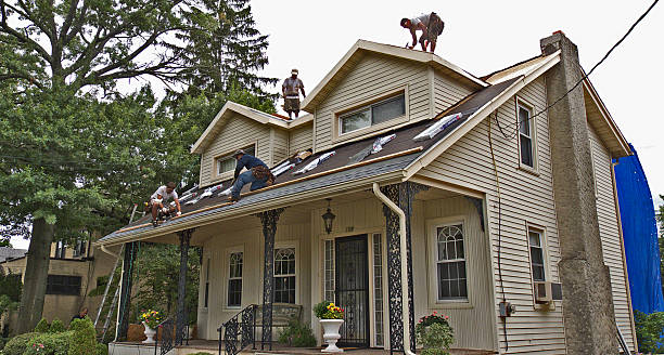 Best Roof Repair Services  in North Bend, OH