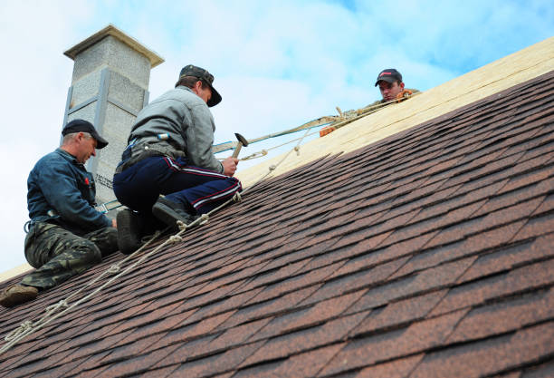 Best Roof Gutter Cleaning  in North Bend, OH